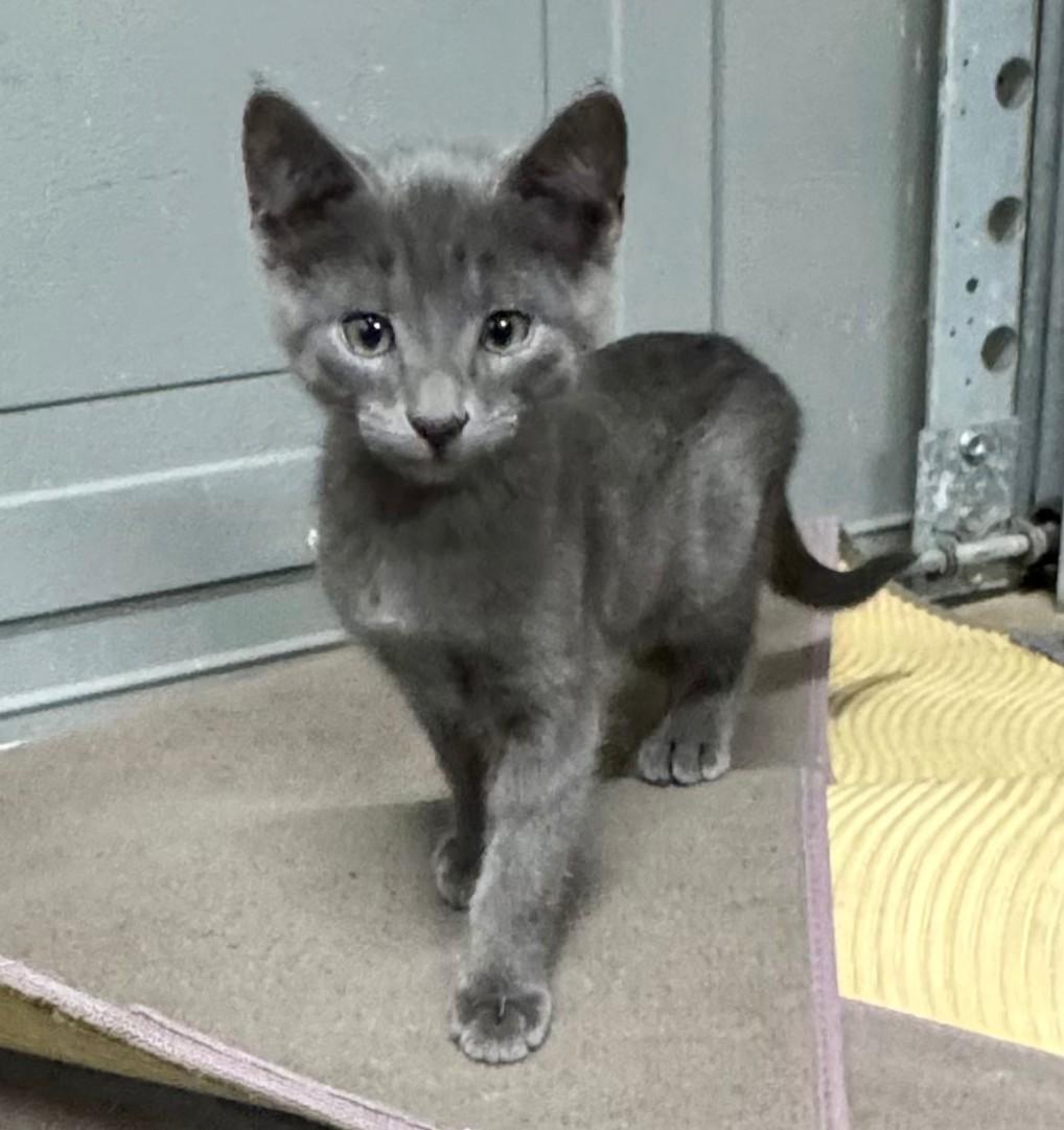 Kameron - super snuggly!