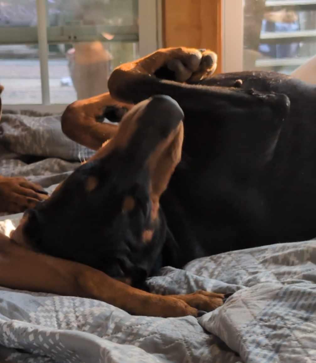 Thelma thumbnail 6