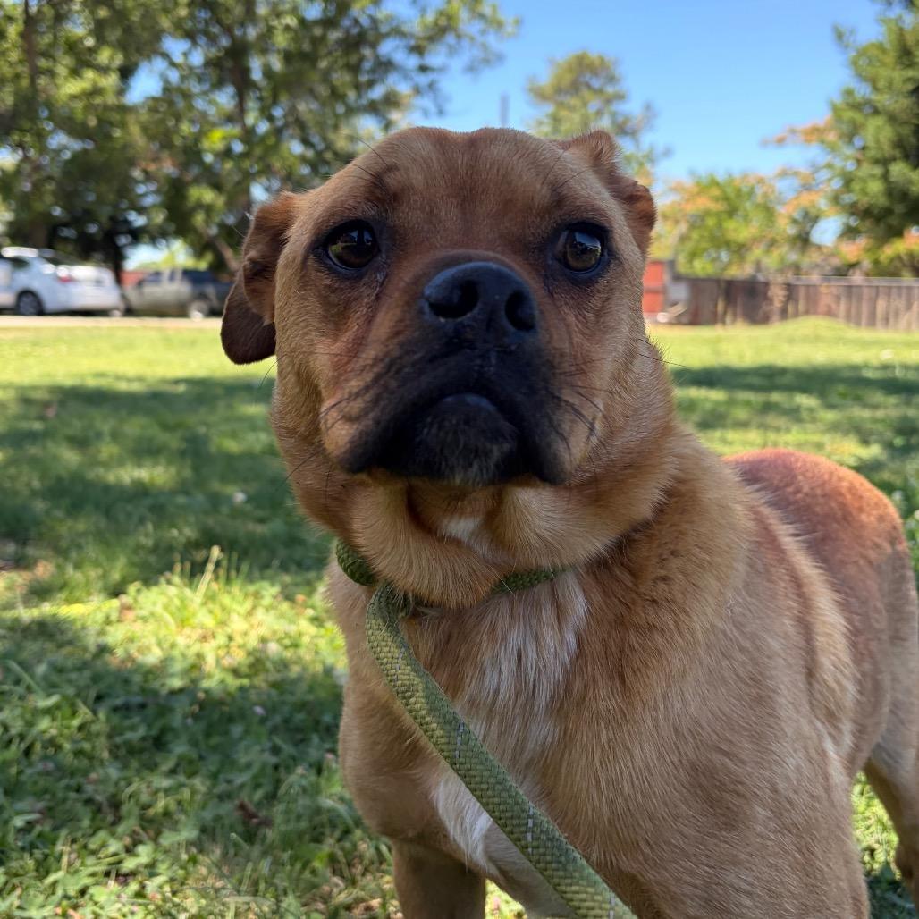 Tater photo