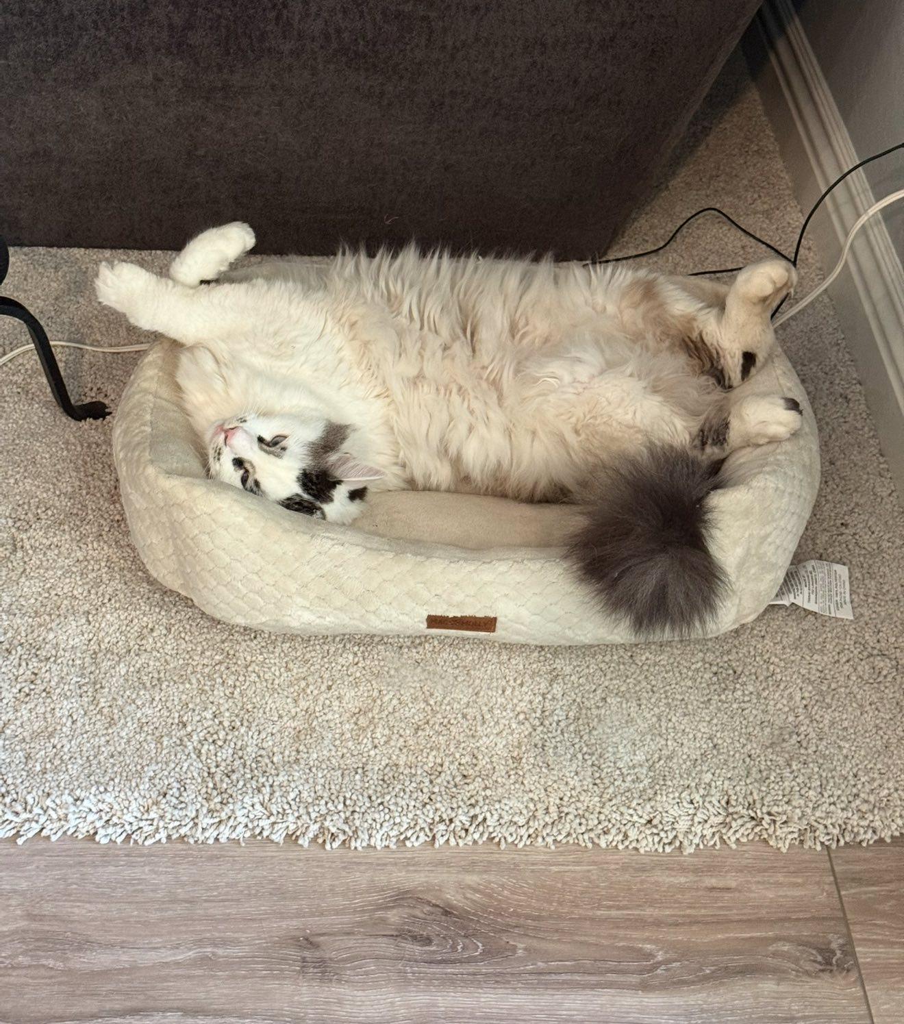 Alaska (Bonded with Licorice)