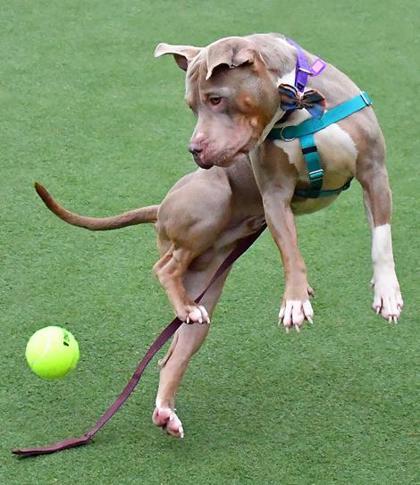 Saint Nicholas — thumbnail 2