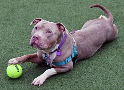 Saint Nicholas — thumbnail 3