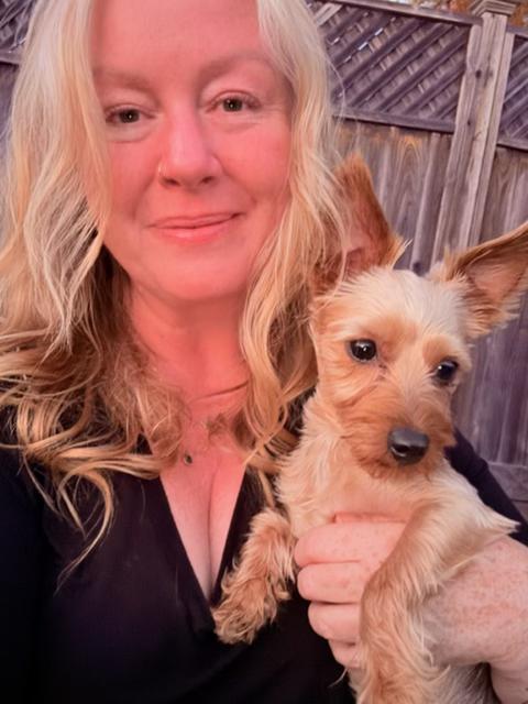 Enlarge Jane, a Adopted Yorkshire Terrier in vallejo, CA image 5/6