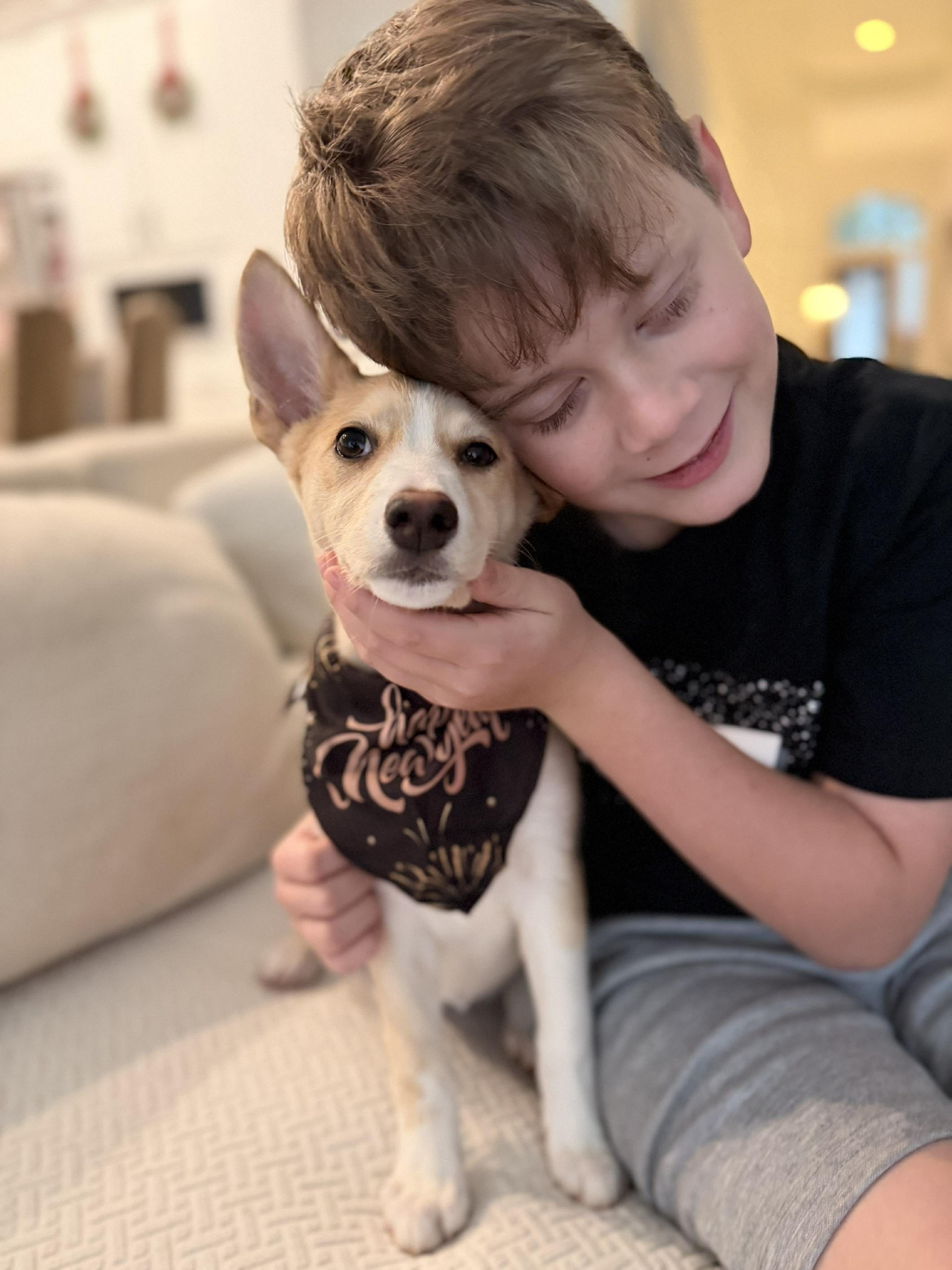 Sandy, a Adoptable mixed breed in Houston, TX image 3/6