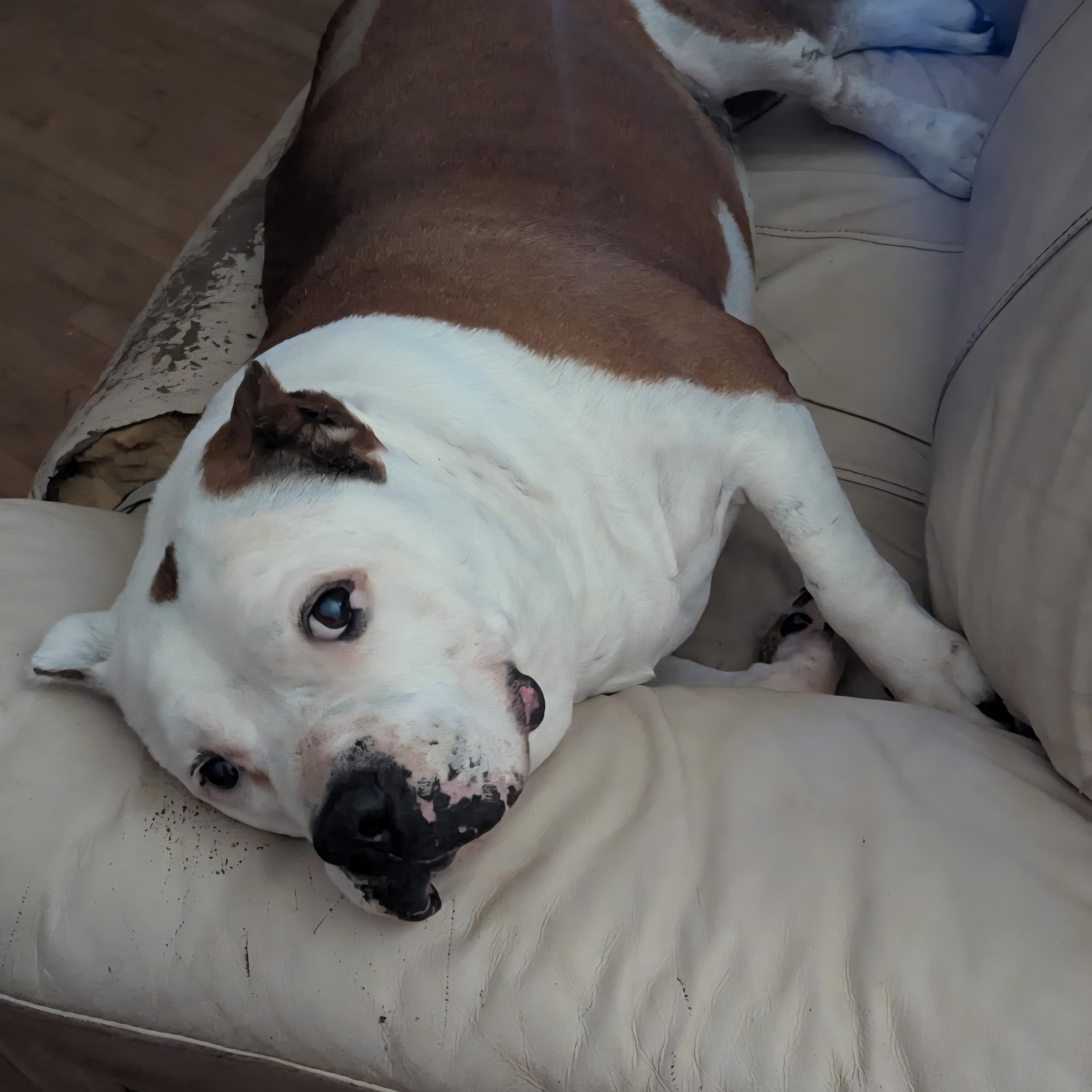 King — thumbnail 6