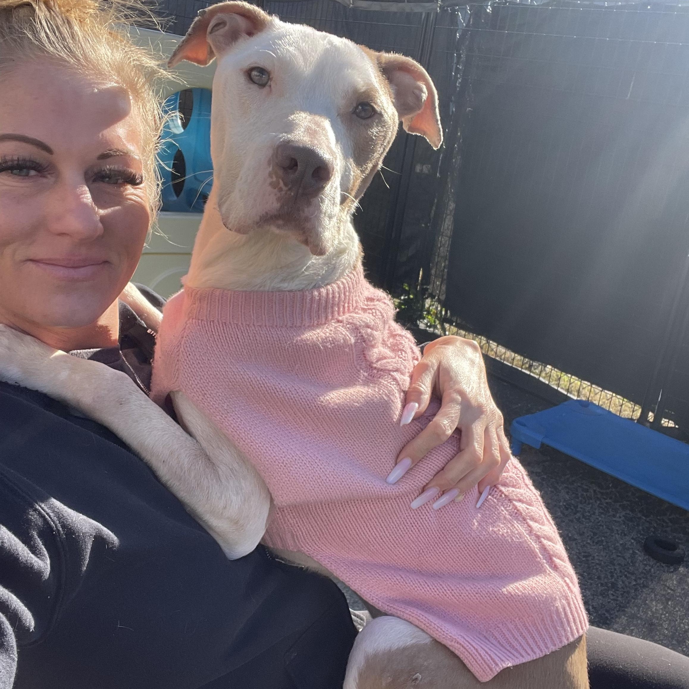 Tootsie, an adoption pending mixed breed in Oak Park, MI image 4/5