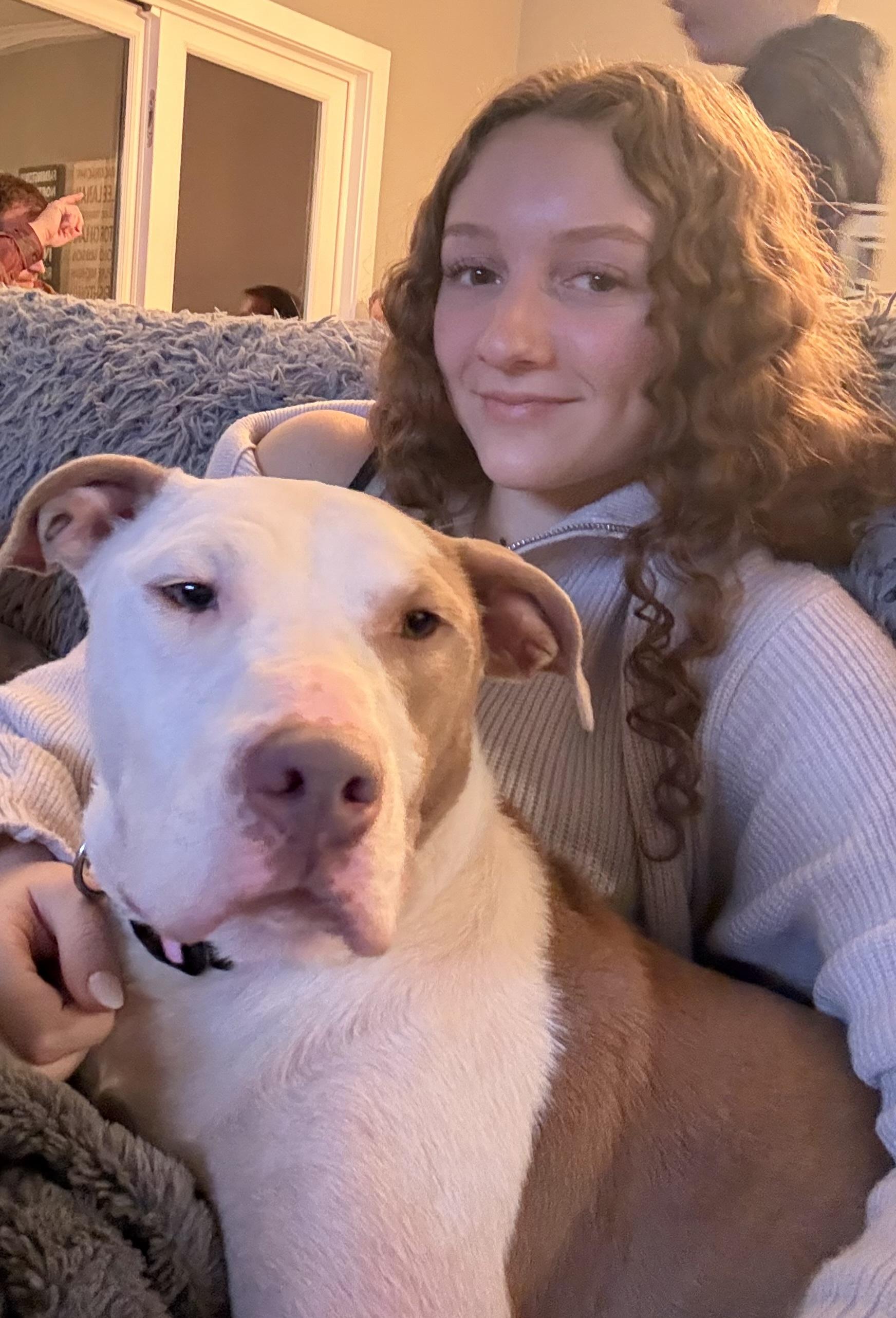 Tootsie, Adoptable, Young Female Mixed Breed.