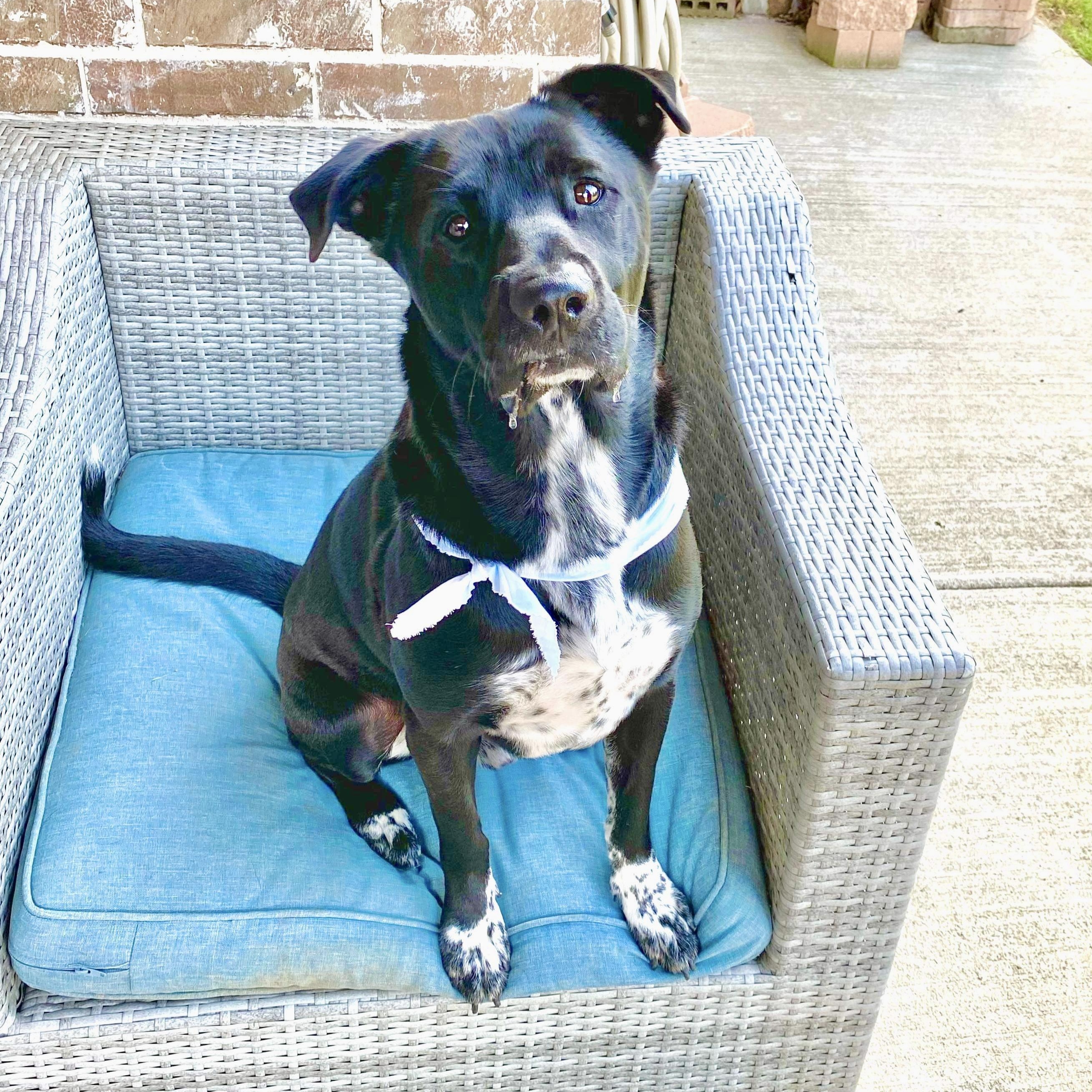 Tapper — thumbnail 4