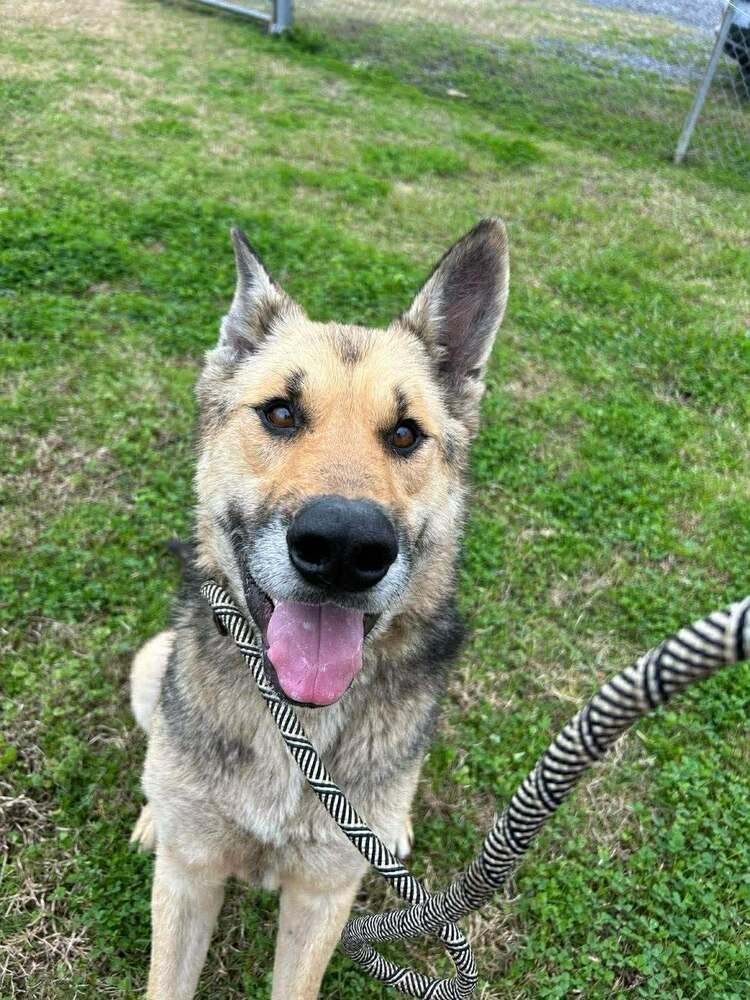 Shaye — thumbnail 2