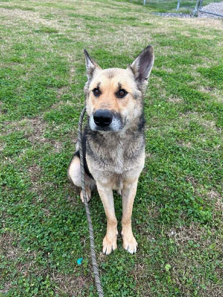 Shaye — thumbnail 3