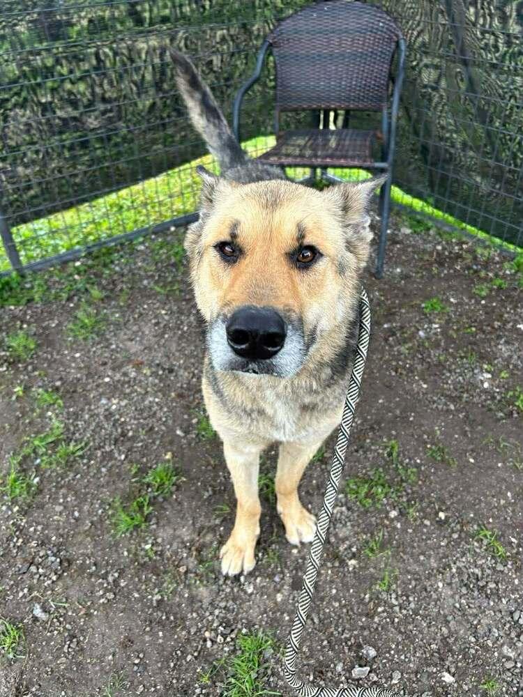 Shaye — thumbnail 4