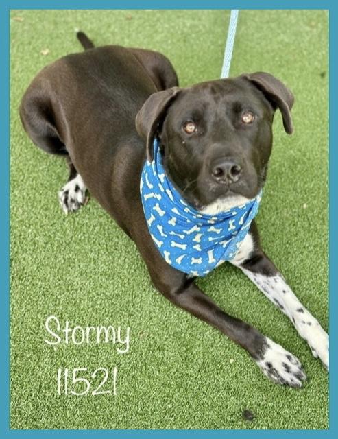 STORMY