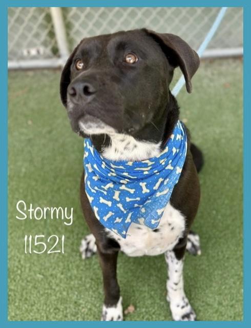 STORMY