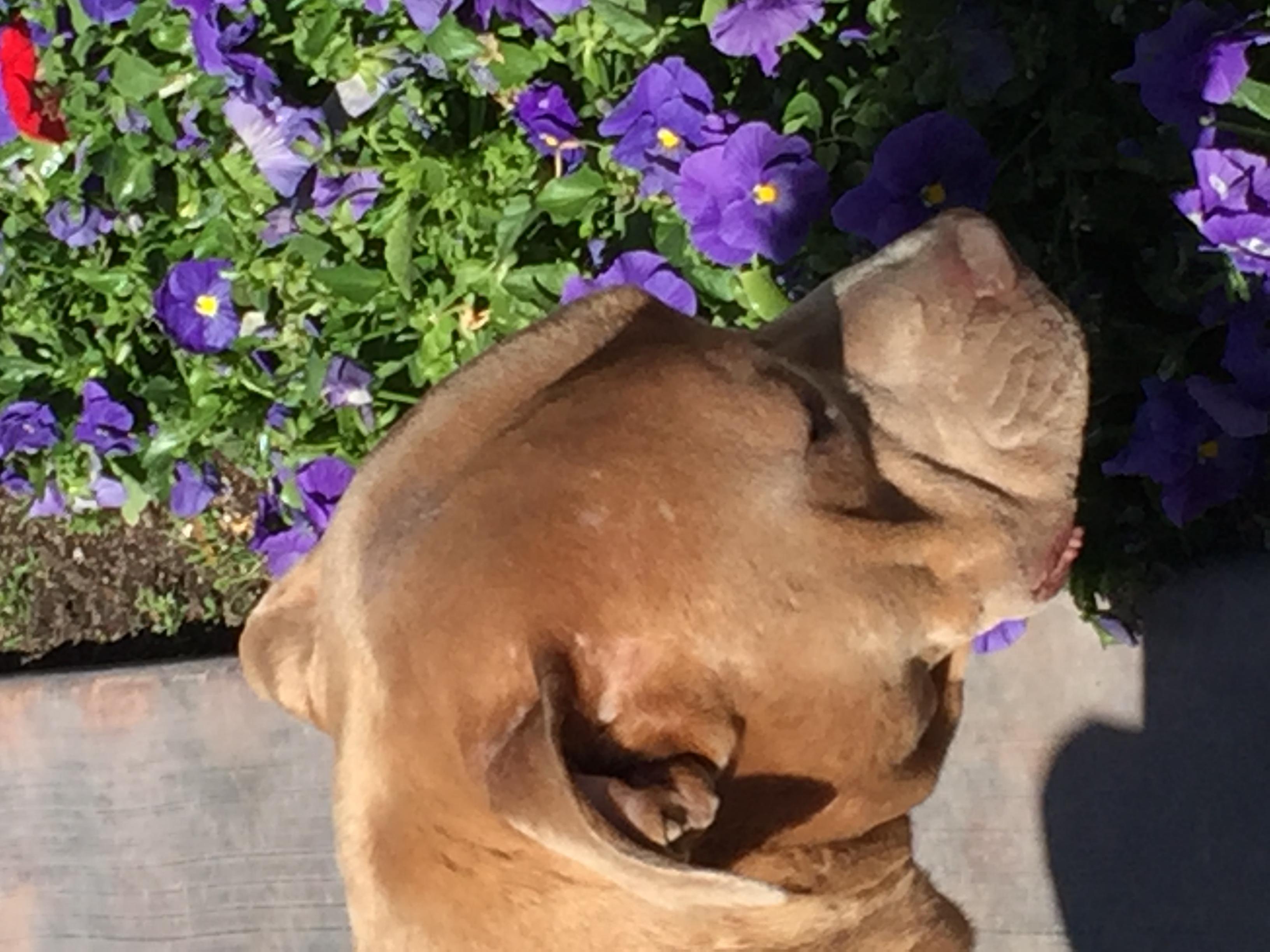 TOBY photo 3