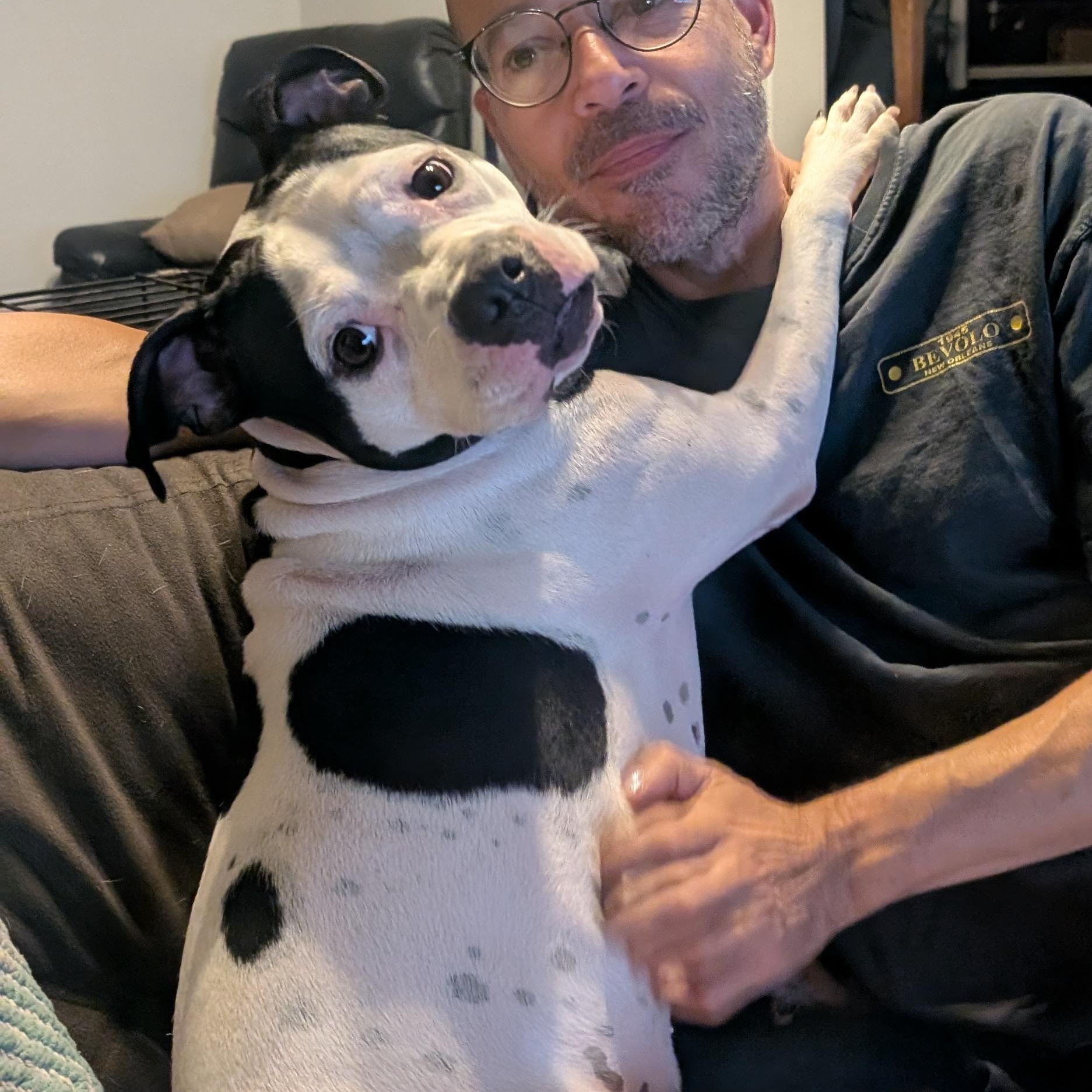 Enlarge Pearl (courtesy post), a ADOPTABLE mixed breed in New Orleans, LA image 1/6