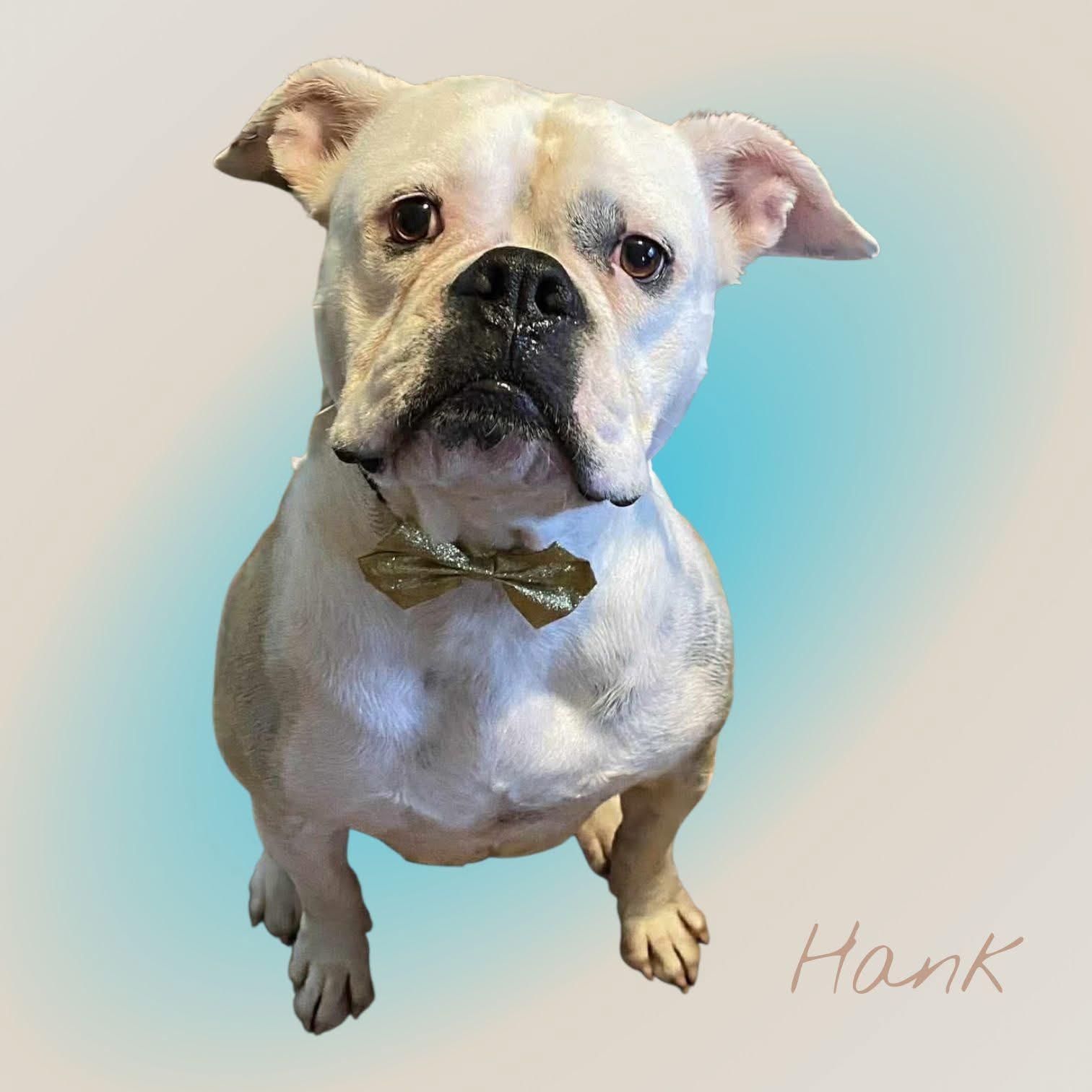 Hank
