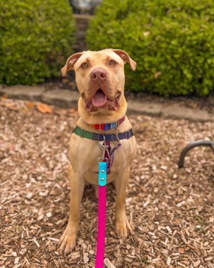 Henry Wu thumbnail 4