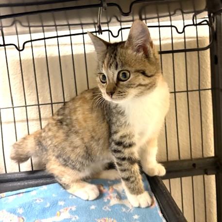 Samantha thumbnail 2