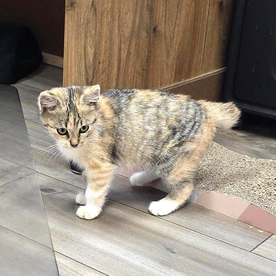 Samantha thumbnail 3