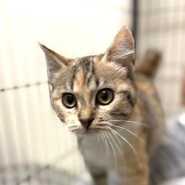 Samantha thumbnail 5