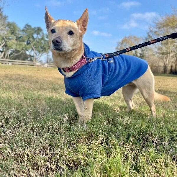 Buddy Reid — thumbnail 2