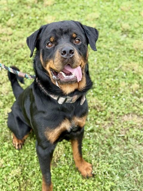 ZEUS photo