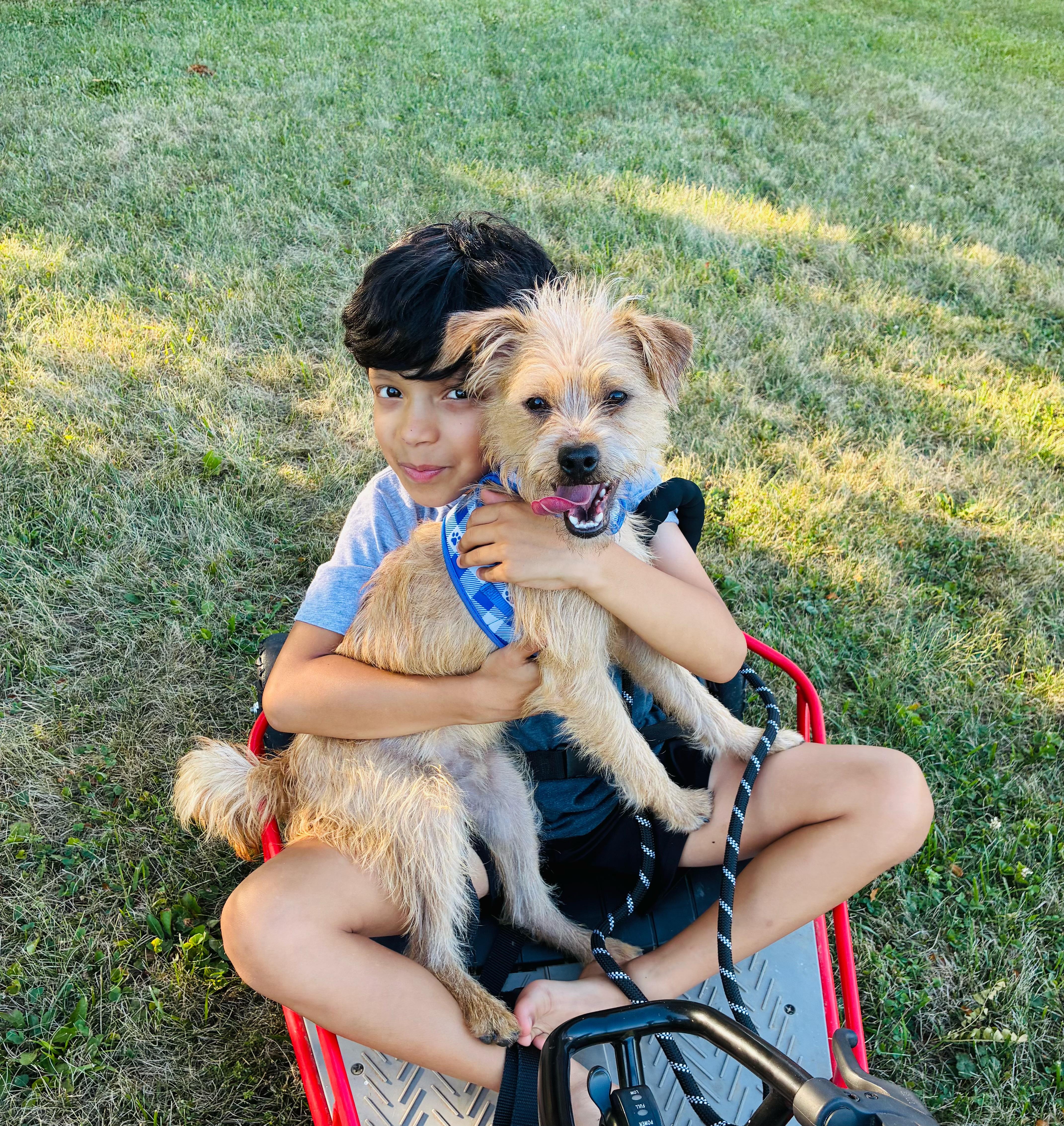 Haal, an adopted mixed breed in Columbia, MD image 2/5