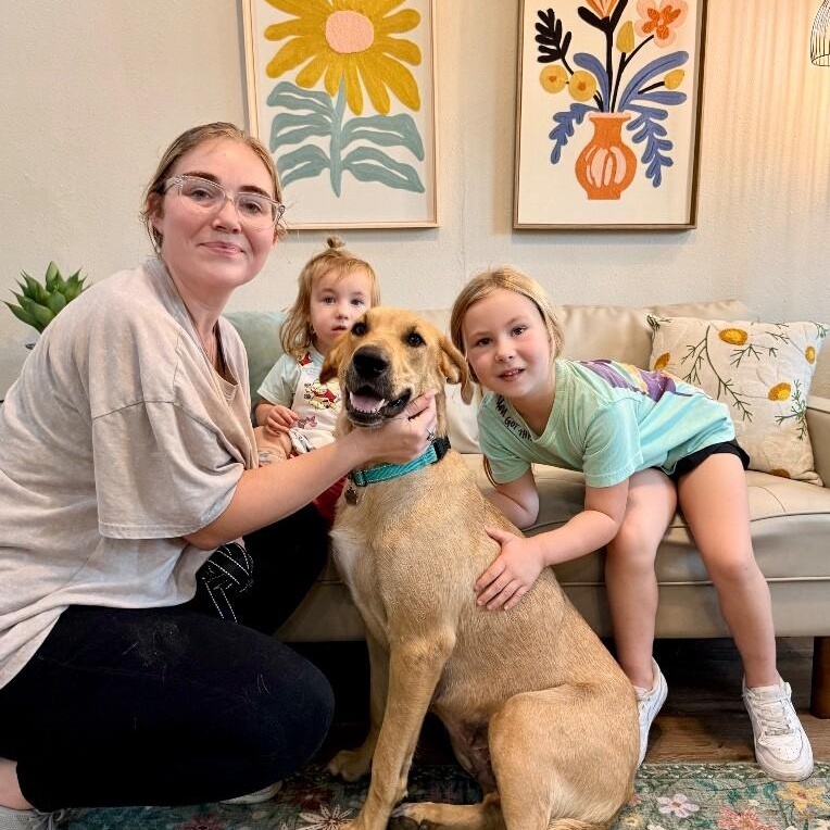 Enlarge Chickie Nugget The Family Dog, a Adoptable mixed breed in Friendswood, TX image 2/6