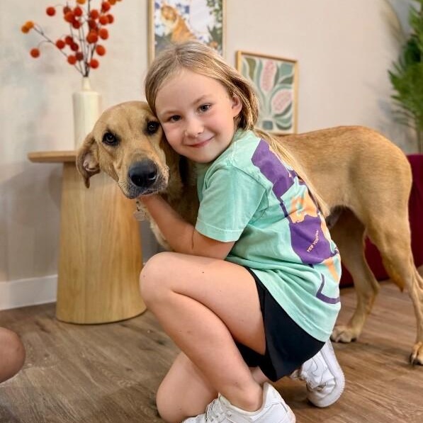 Enlarge Chickie Nugget The Family Dog, a Adoptable mixed breed in Friendswood, TX image 4/6