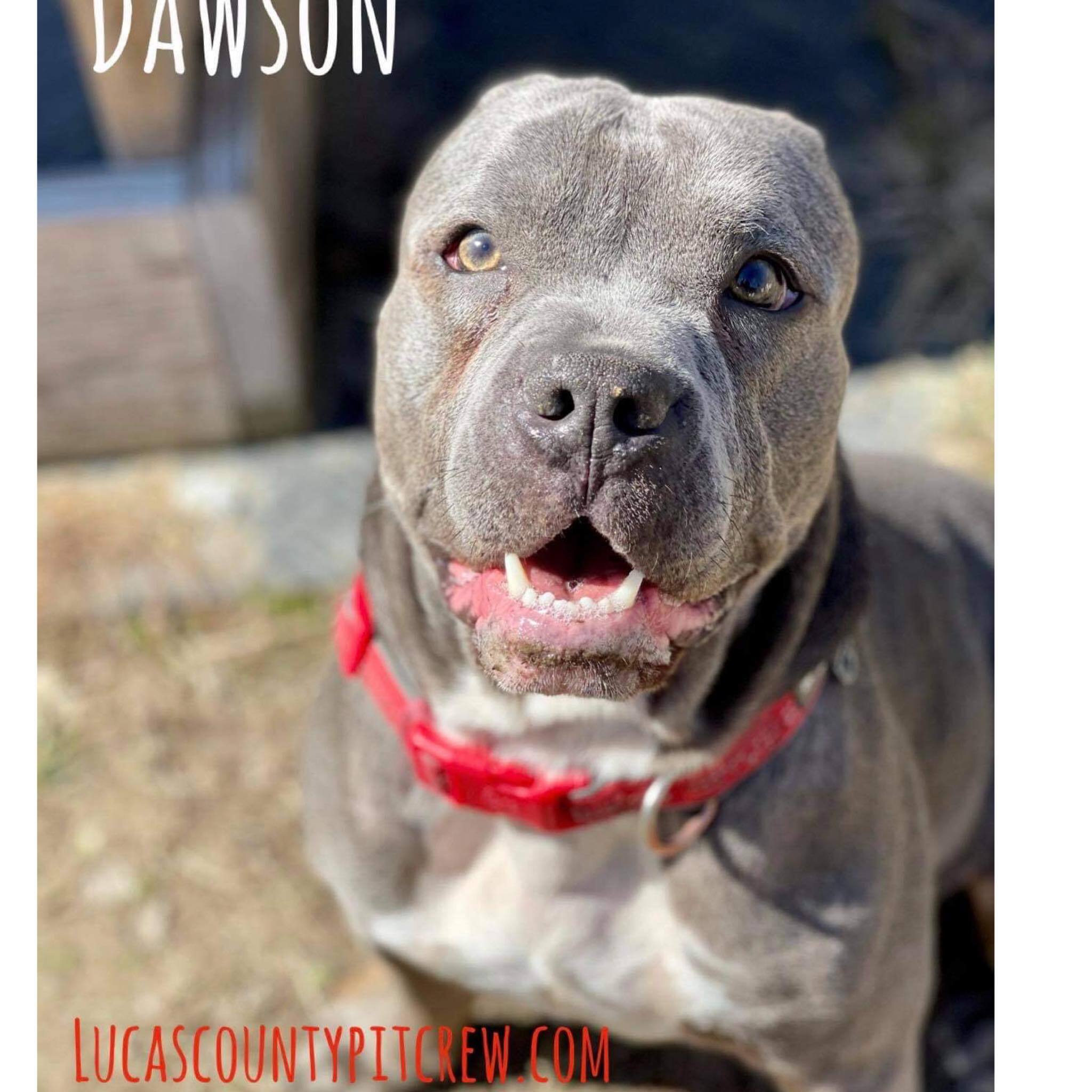 Dawson 4