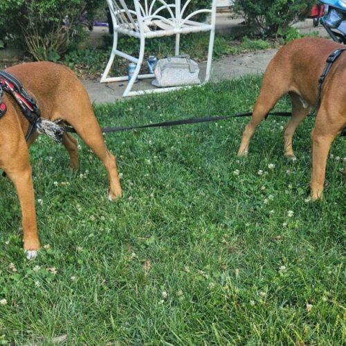 Manchester thumbnail 3