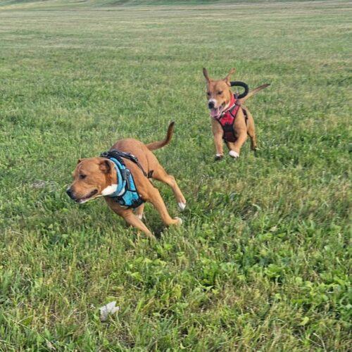 Manchester thumbnail 6