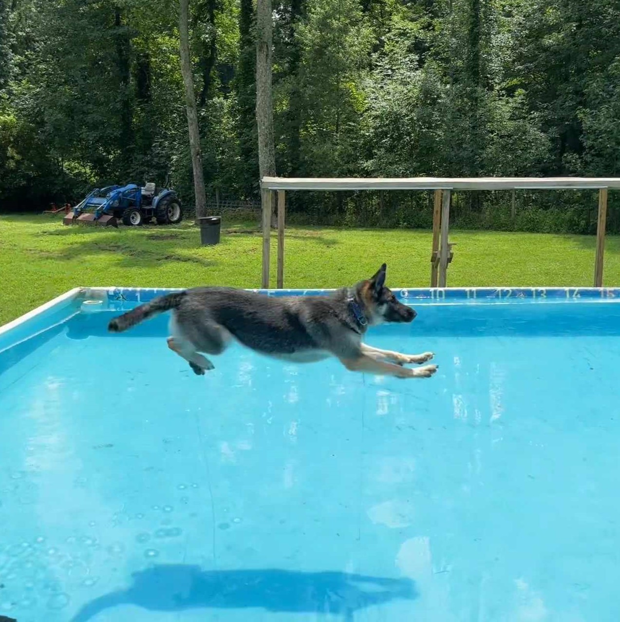 FeFe — thumbnail 3