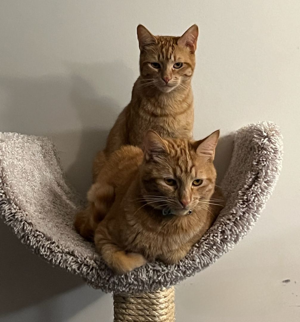 Scooter & Skippy photo 2