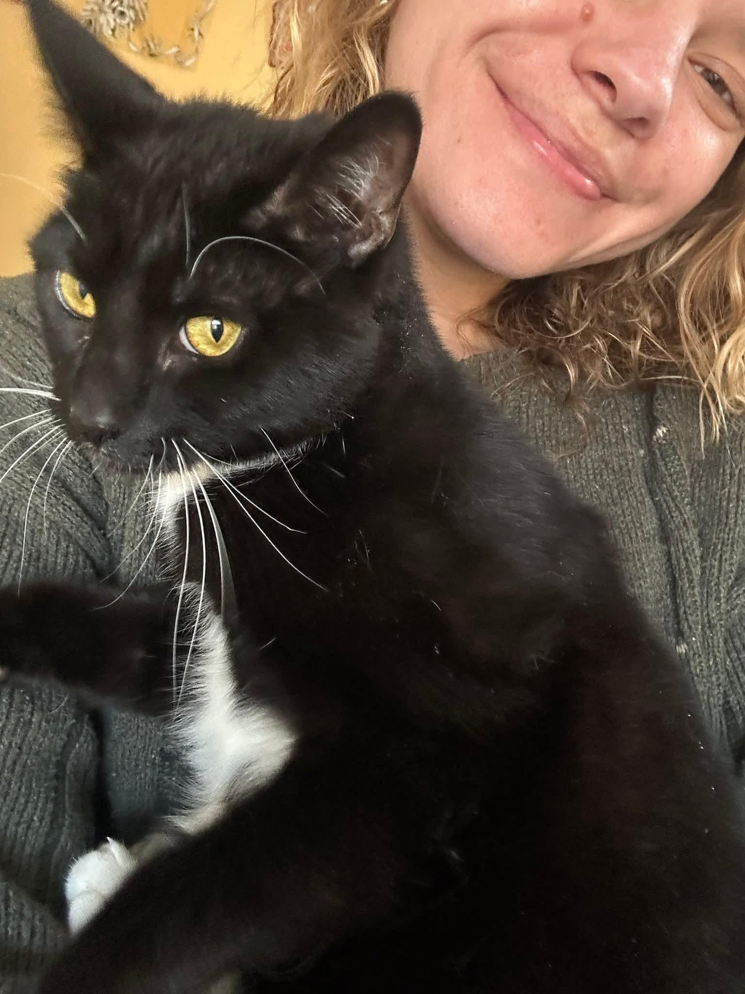 Enlarge Amora, an adopted mixed breed in West Lafayette, IN image 3/5