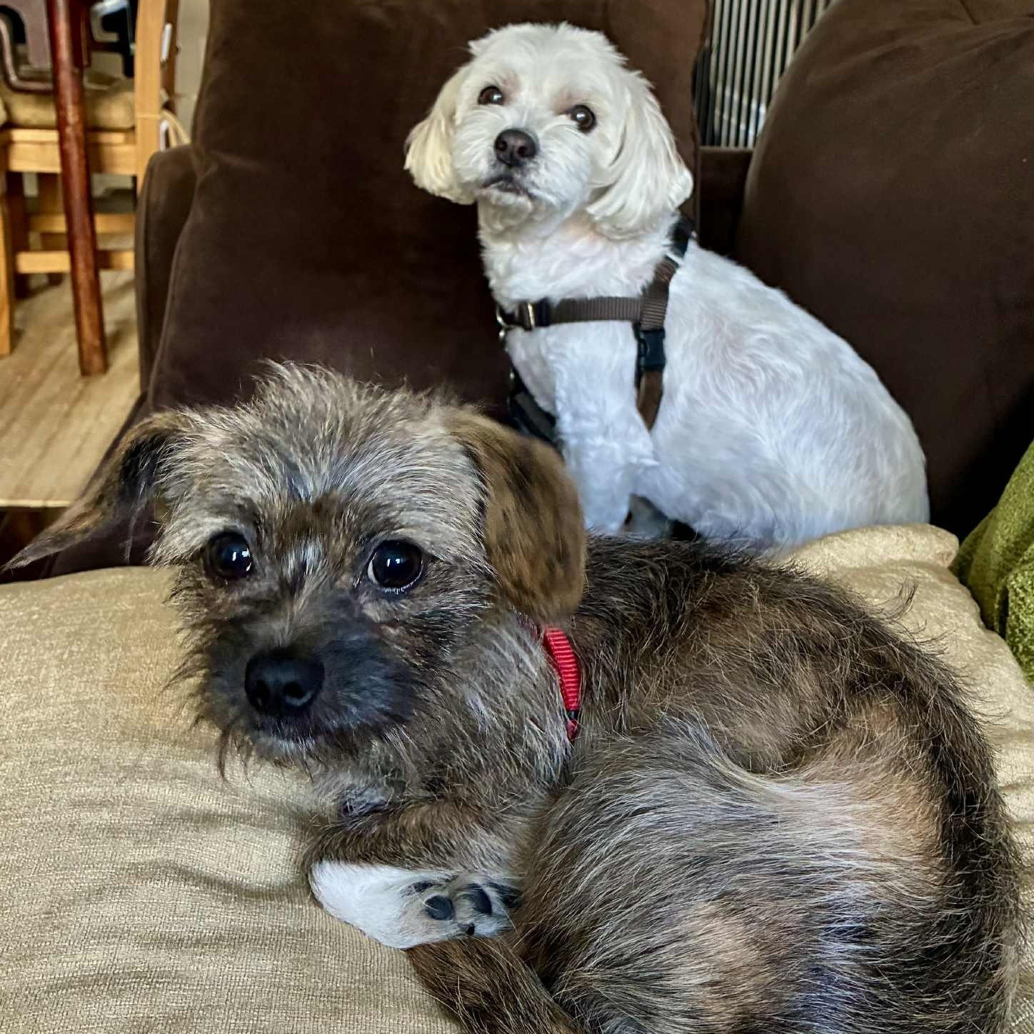 Little Ninja thumbnail 6