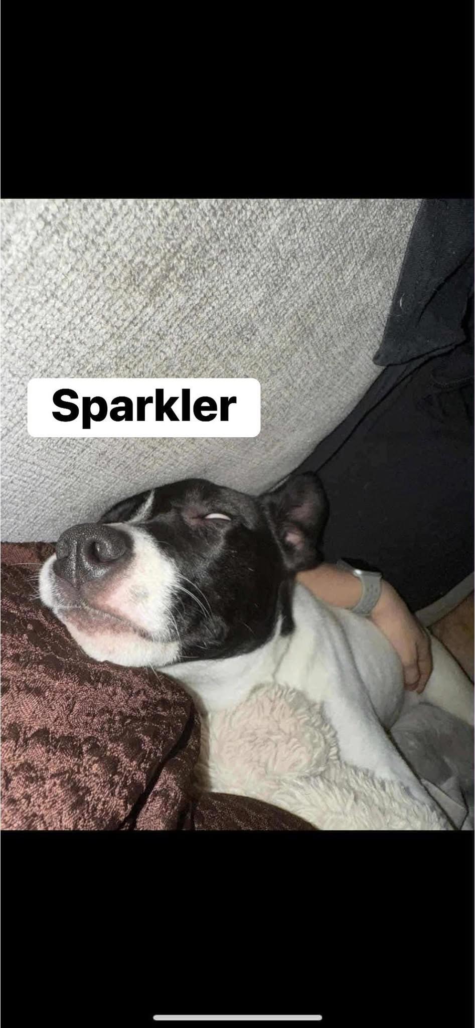 Sparkler