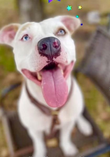 Leilani-Happy, Sweet and Silly