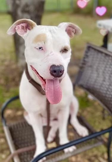 Leilani-Happy, Sweet and Silly