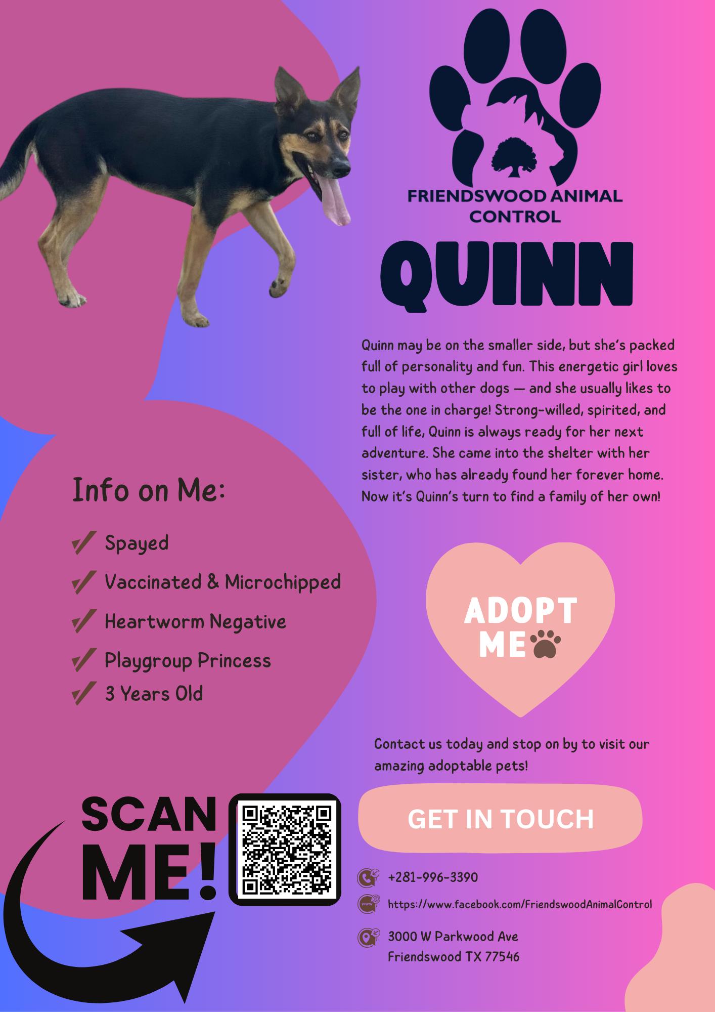 Quinn