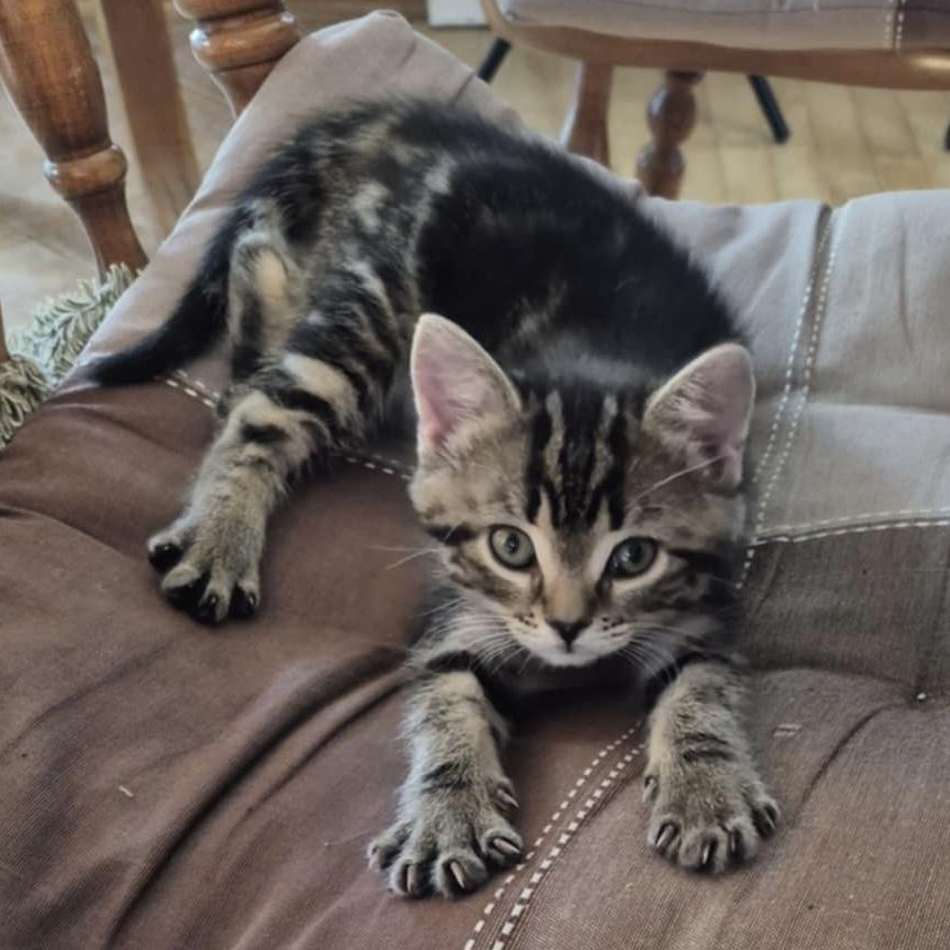 Tina
