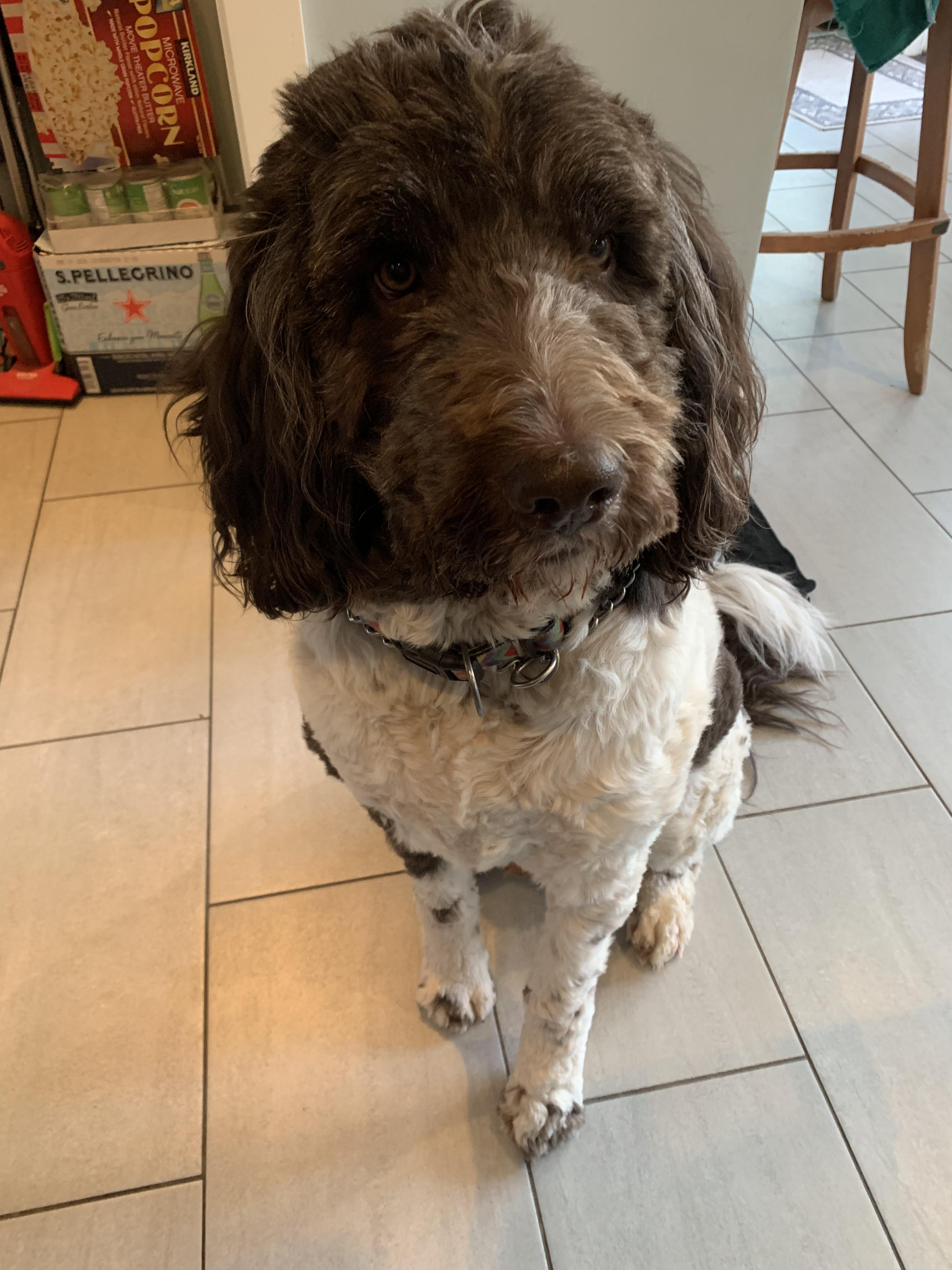 Mookie needs a special someone