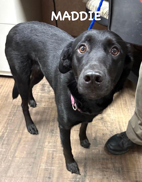 Maddie thumbnail 3
