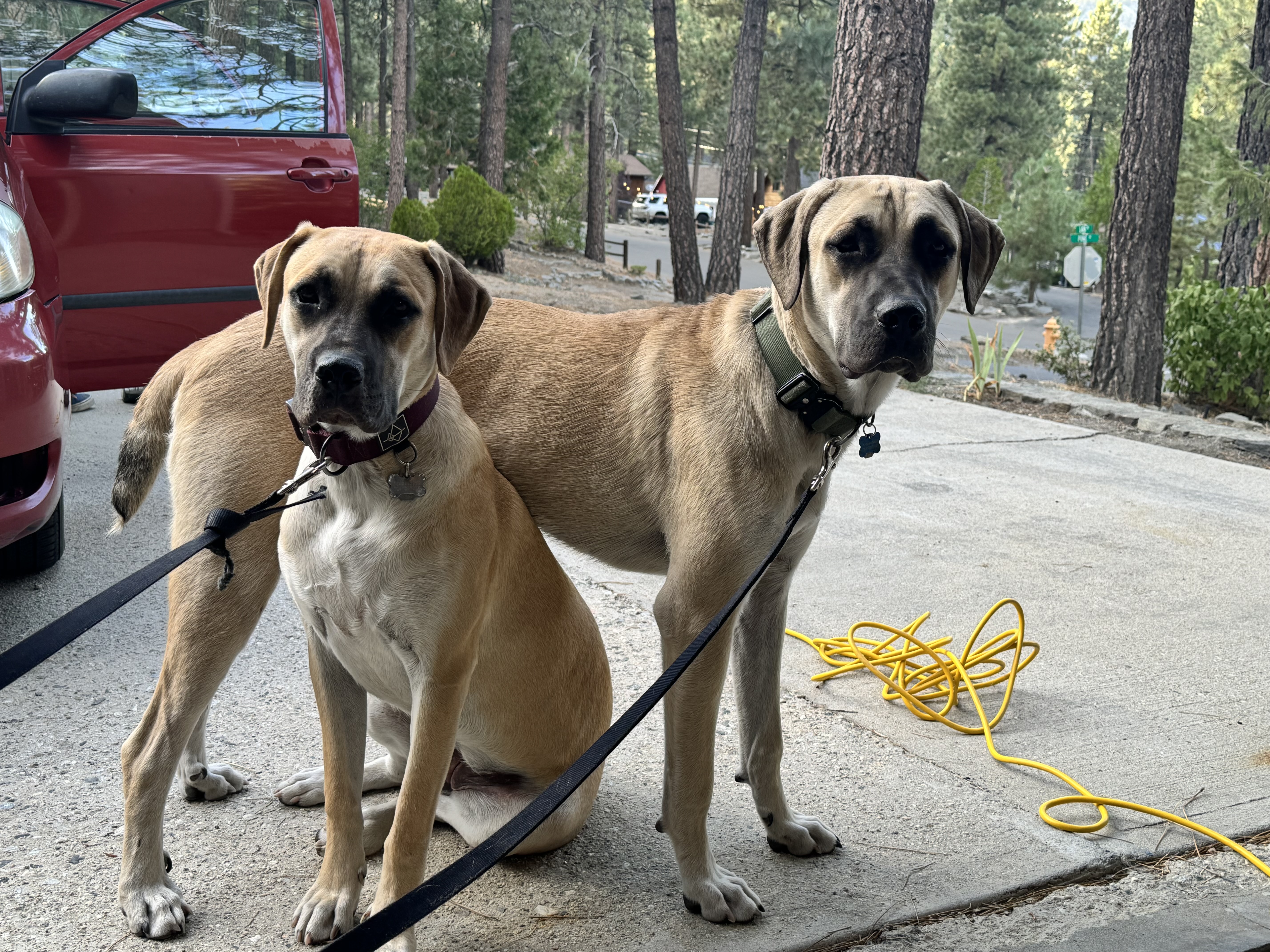 Ranger & Oakley photo 3