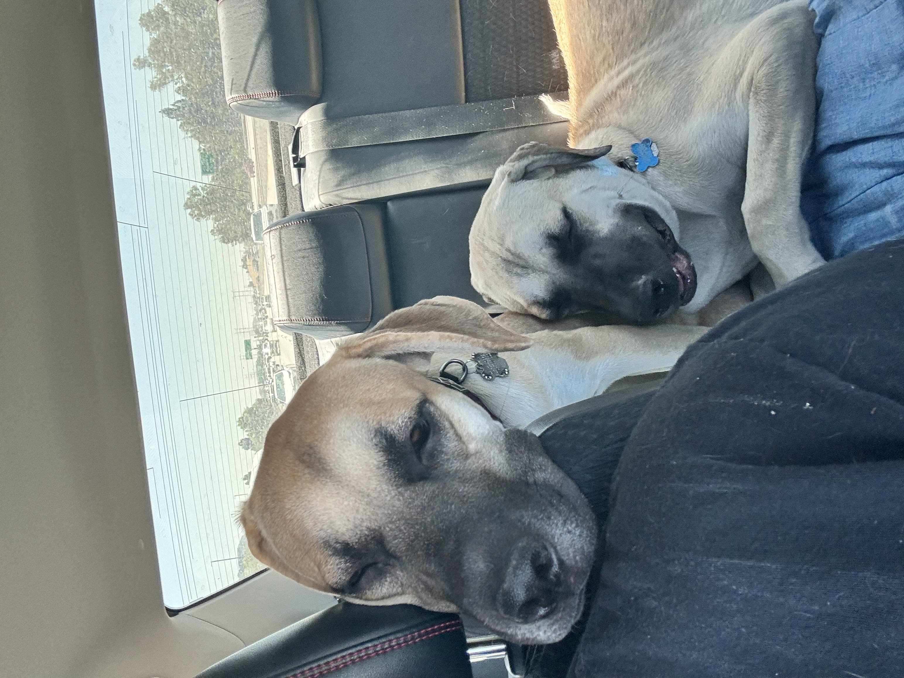 Ranger & Oakley photo 2