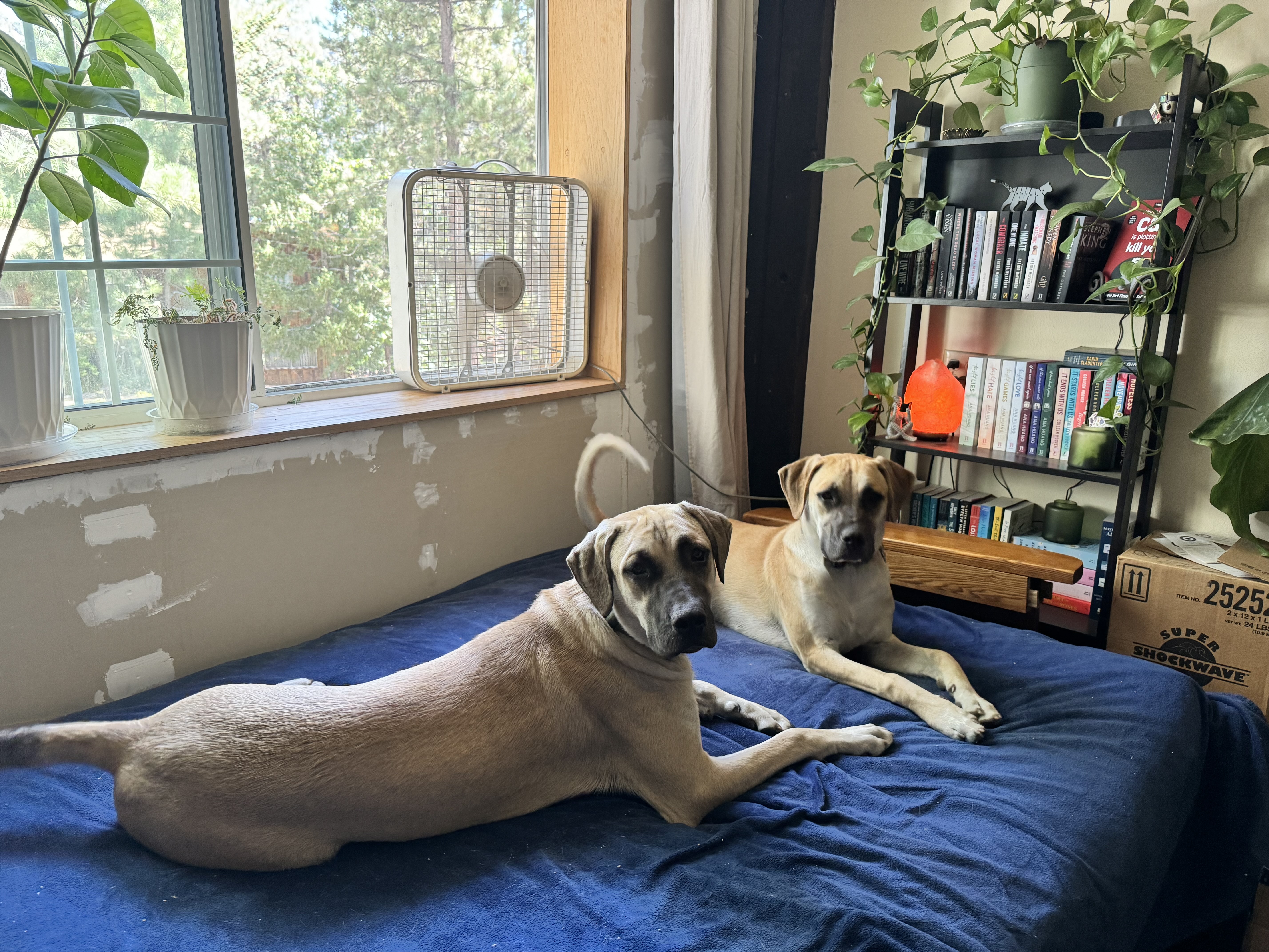 Ranger & Oakley photo 4