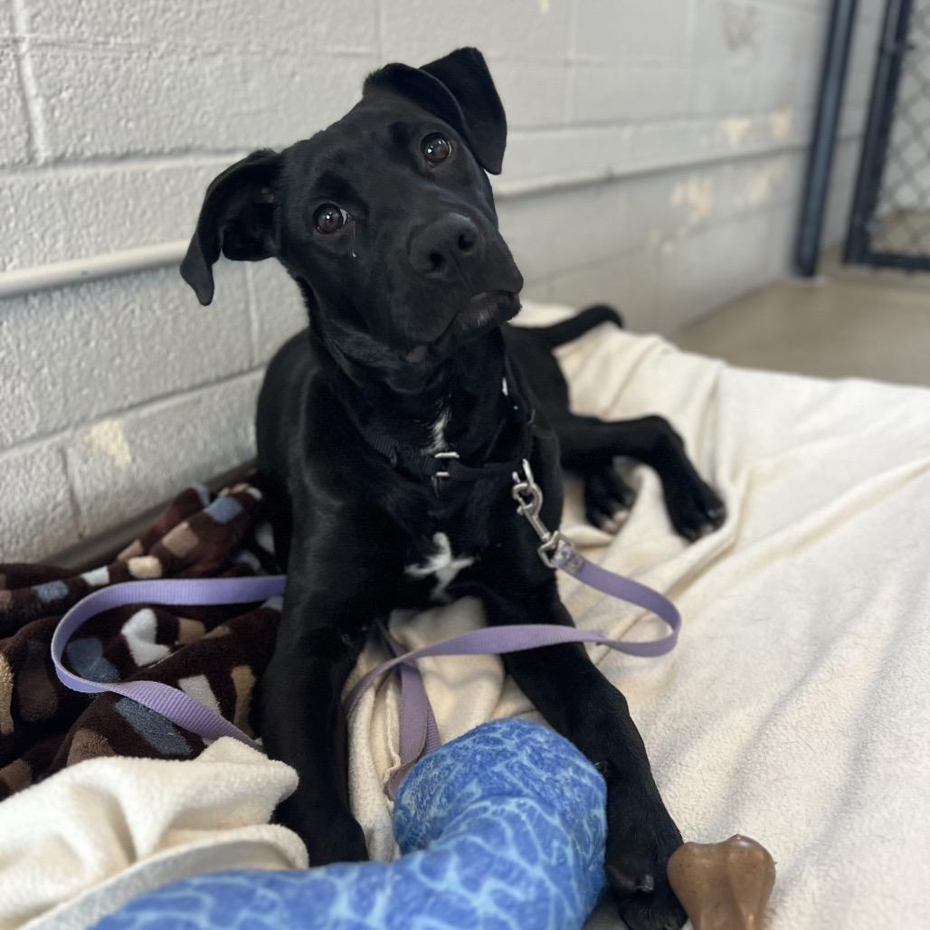 James Rush — thumbnail 2