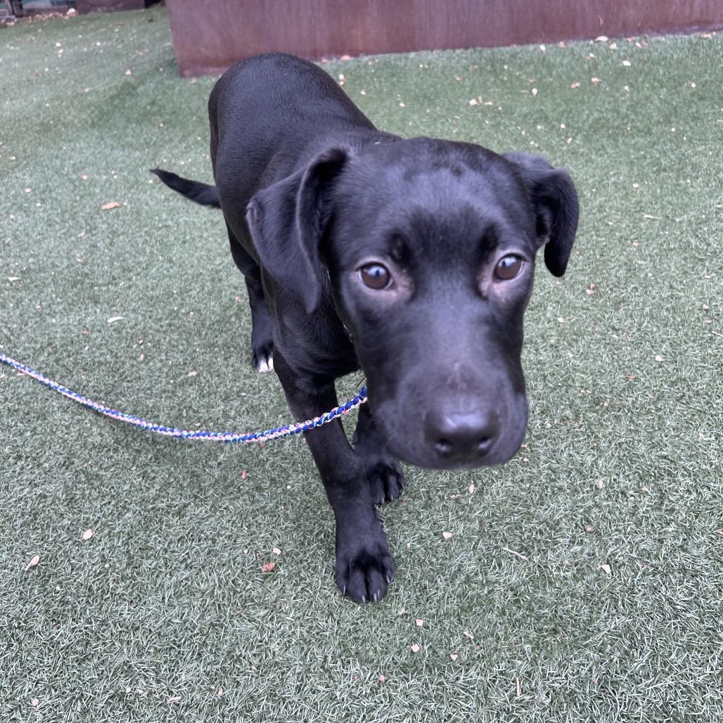 James Rush — thumbnail 4