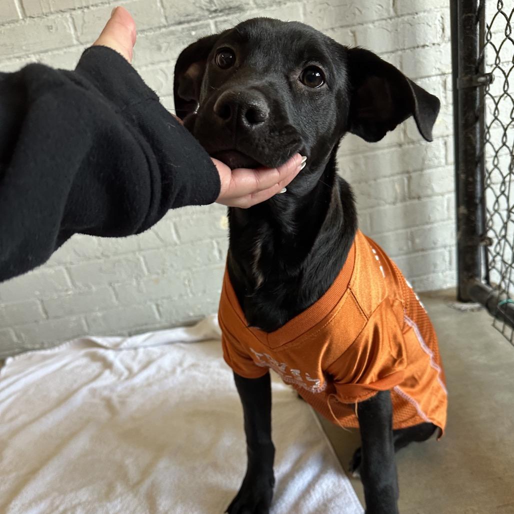 James Rush — thumbnail 5