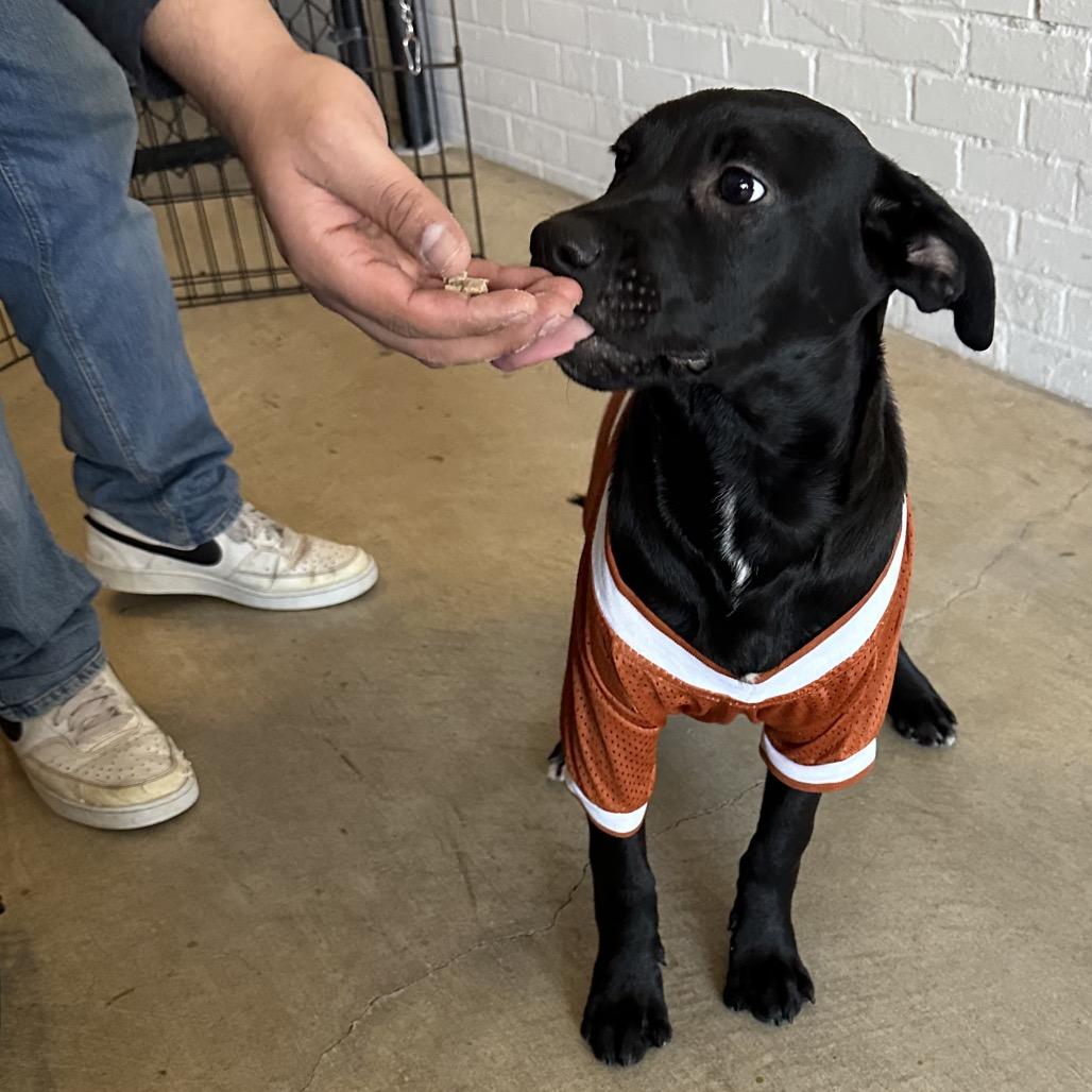 James Rush — thumbnail 6